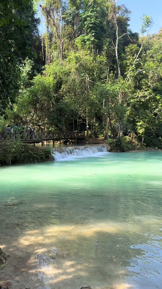 [TikTok รีวิว] น้ำตกตาดกวางสี ณ หลวงพระบาง #หลวงพระบาง #ลาว #ท่องเที่ยว #ไอเชียงรา...