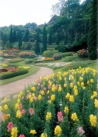 พระตำหนักดอยตุง และสวนพฤกษศาสตร์แม่ฟ้าหลวง เชียงราย