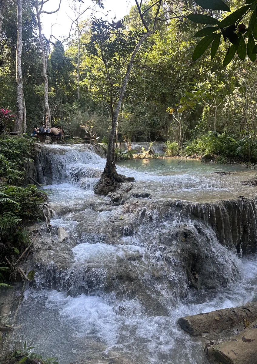 Luangprabang น้ำตกกวางสี 08
