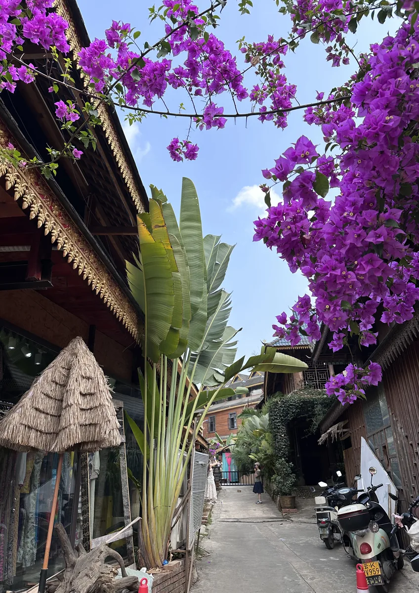 Sipsongpanna Tai Lue Hua Na Village 19